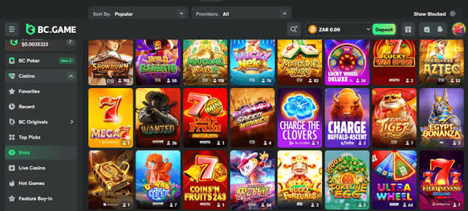 Unlocking the Excitement A Deep Dive into BC.Game Bonuses and Promo Codes